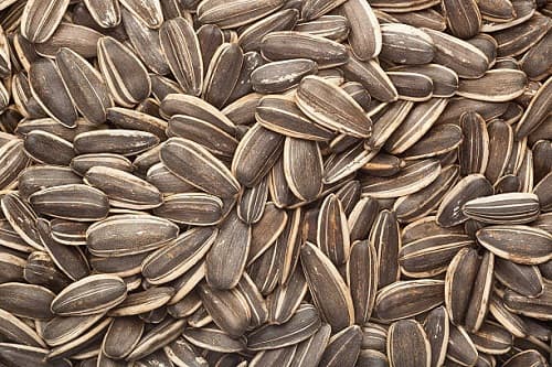 تصویر 3 از انواع تخمه آفتابگردان اعلا + ممتاز و مقرون به صرفه